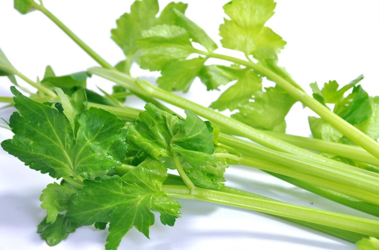 1618881707191035.jpg 芹菜.jpg